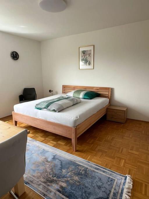 Wohnung In Грац Екстериор снимка