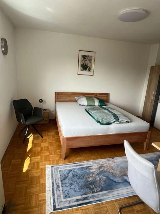 Wohnung In Грац Екстериор снимка